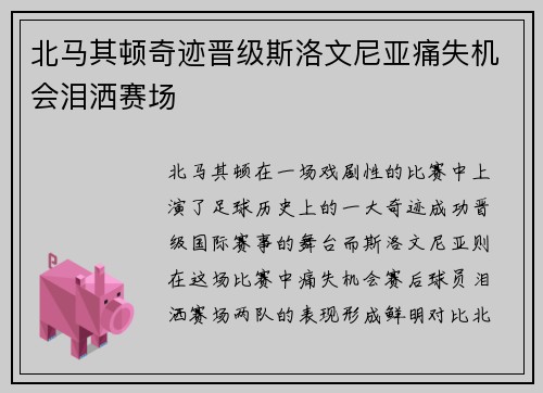 北马其顿奇迹晋级斯洛文尼亚痛失机会泪洒赛场
